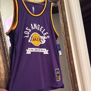 Purple and Yellow NBA Game Jersey